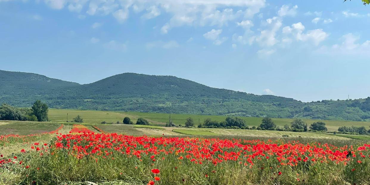 "Végtelen" nyár