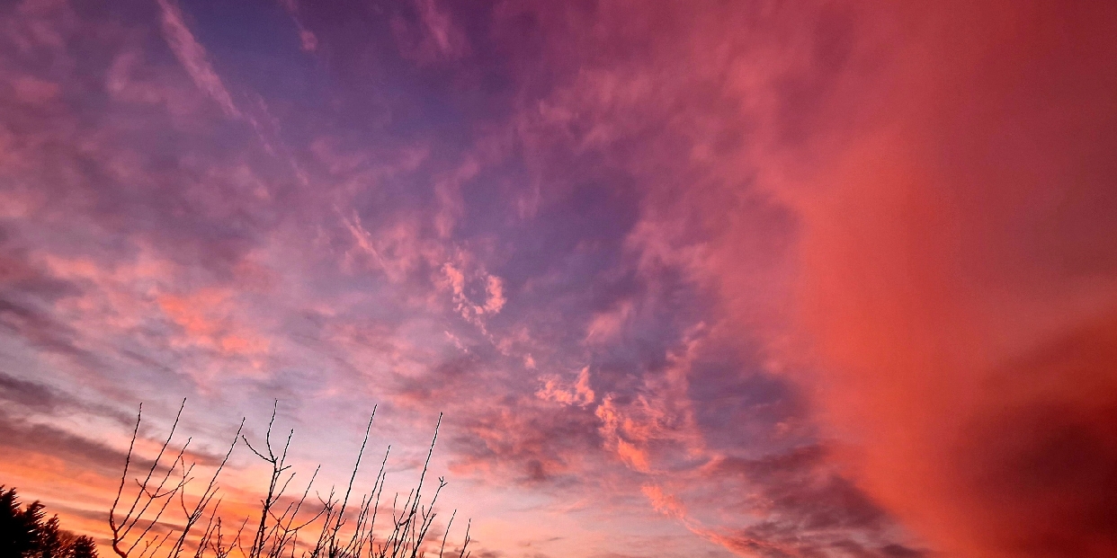 Tavaszias idővel indul a hét Vörösváron