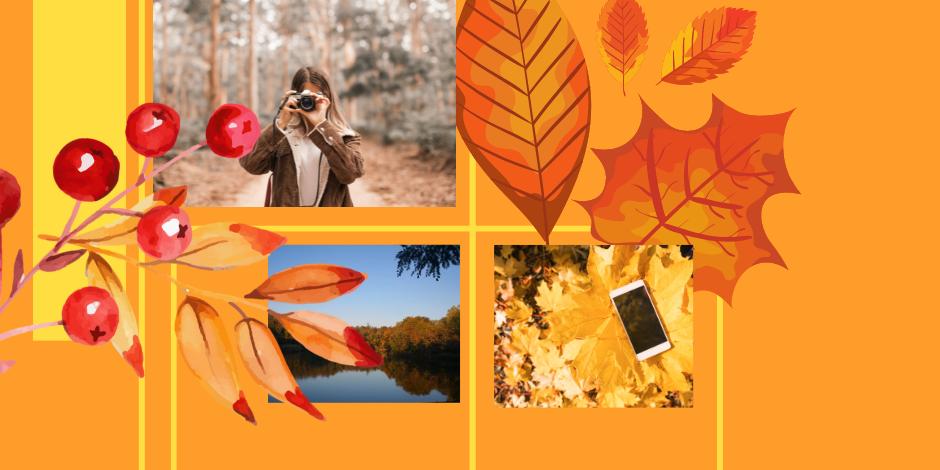 Pilisvörösvár őszi ruhában - fotópályázat