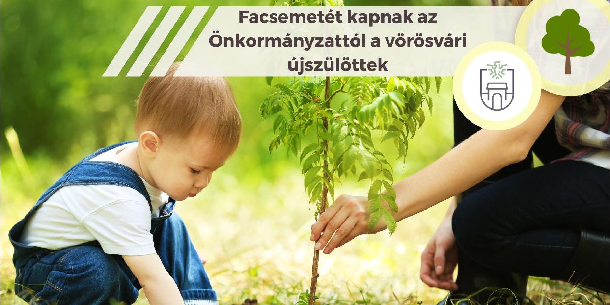 Facsemetét adományoz az Önkormányzat a vörösvári újszülötteknek