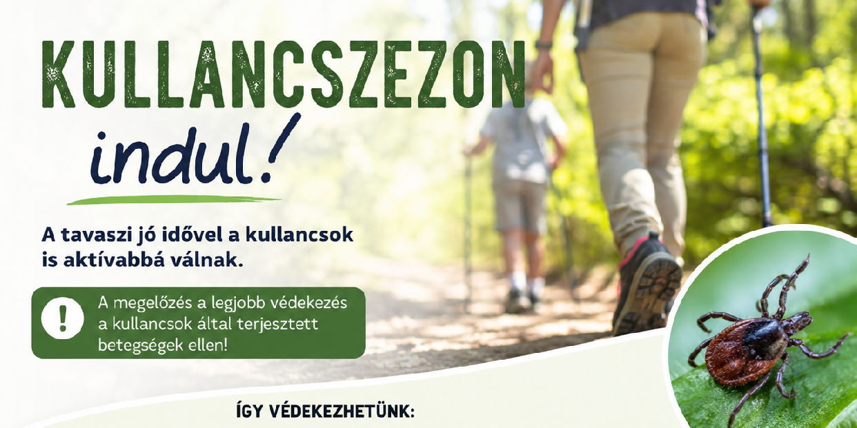 Megérkezett a kullancsszezon – figyeljünk oda magunkra és kedvenceinkre is