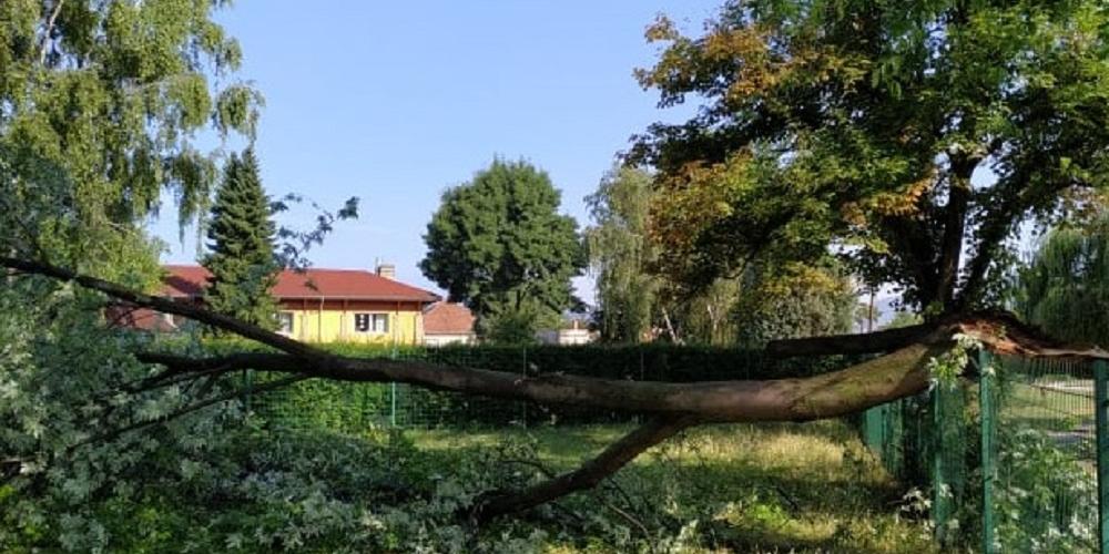 Nem kímélte a vihar Pilisvörösvárt, jelentősek a károk - Galériával, videóval