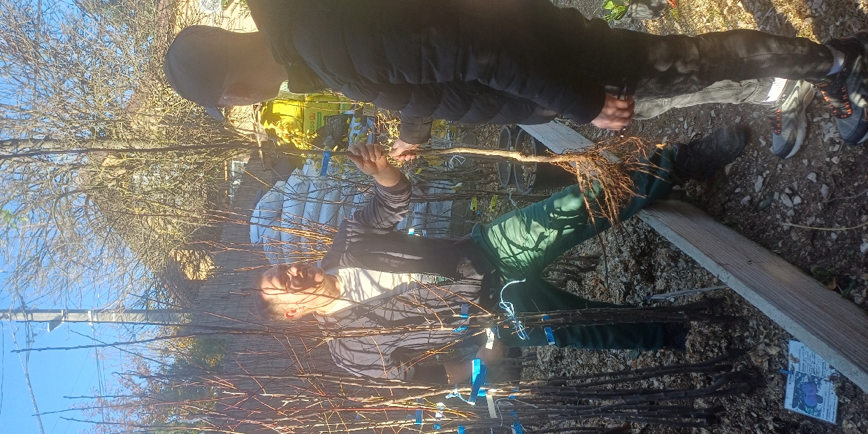 Minden kis élet mellé egy fa – újabb 30 család kapott gyümölcsfacsemetét Pilisvörösváron