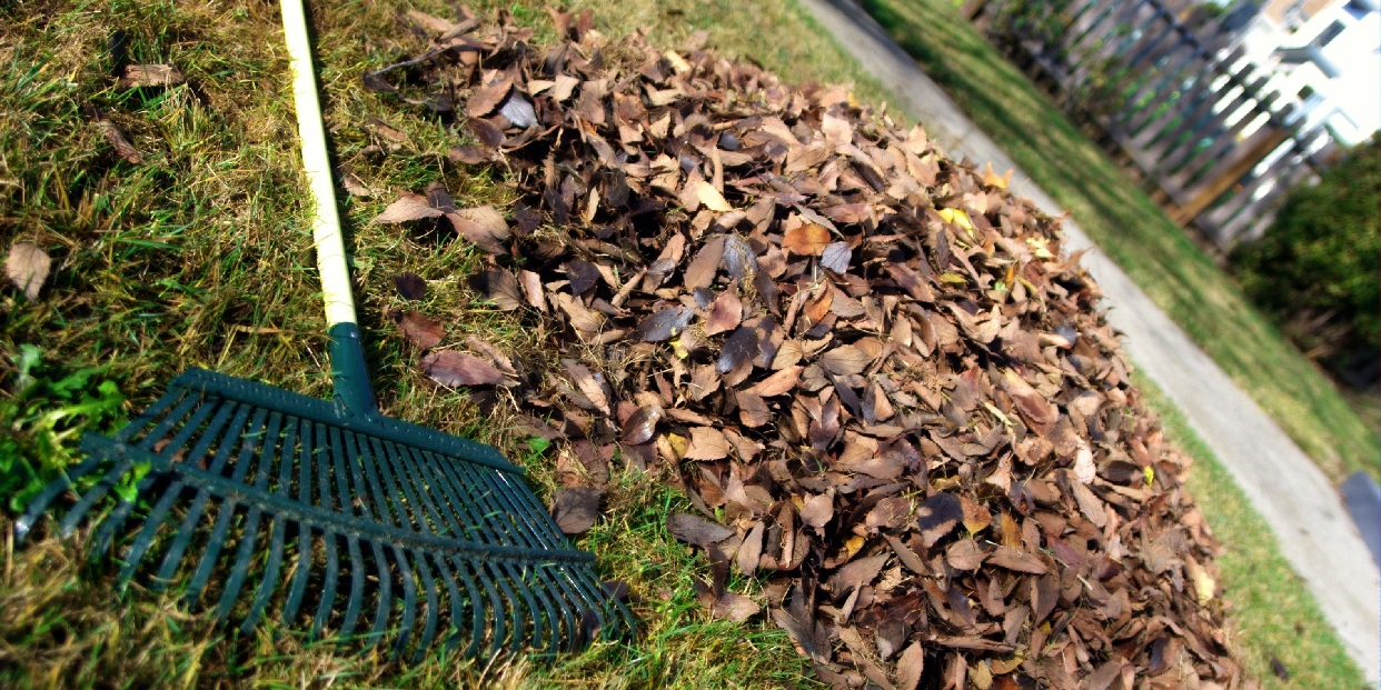 Novemberi zöldhulladék-szállítás Pilisvörösváron – minden fontos tudnivaló egy helyen