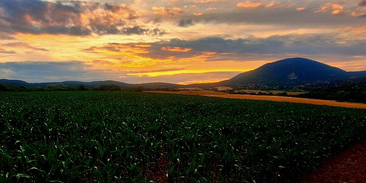 Hőség és sok napsütés lesz a héten