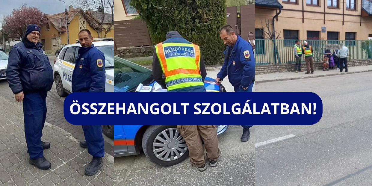 Hatékony fellépés az engedély nélküli házalás ellen – egységben a vörösvári rendvédelem 