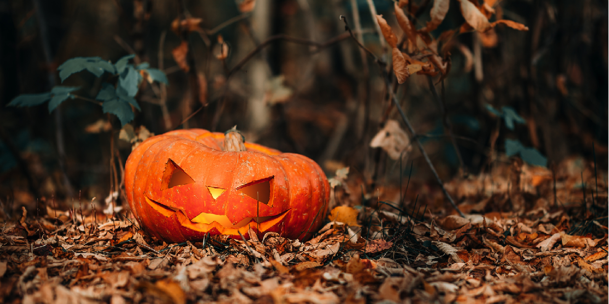 Rossz ötlet a halloweentököket az erdőbe vinni