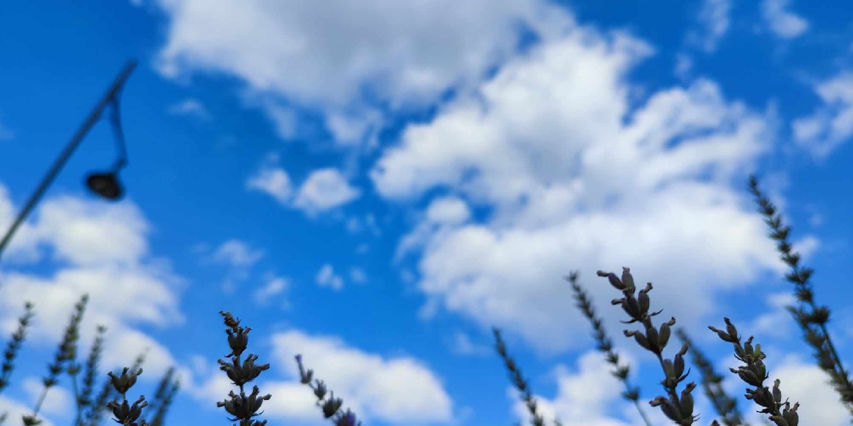 "Őszből" vissza a nyárba a Vörösvári Napokra 