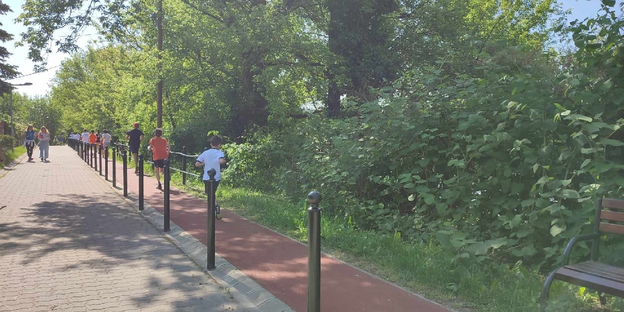 Szinte minden napra jut izgalom a mobilitási héten Pilisvörösváron