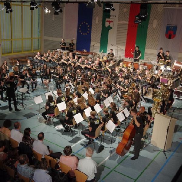 Díjat kapott a TriNa Orchestra projekt