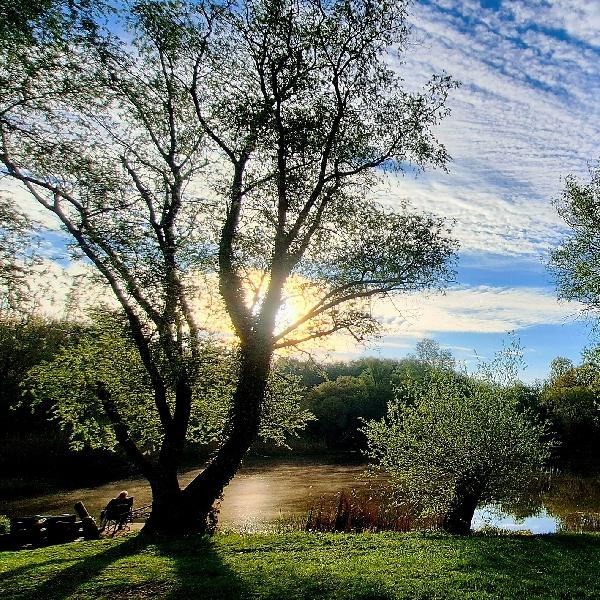 Heti időjárás-előrejelzés