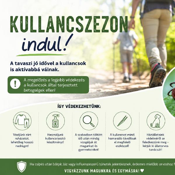 Megérkezett a kullancsszezon – figyeljünk oda magunkra és kedvenceinkre is