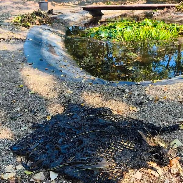 Teljeskörű tókarbantartás a Lahmkruam Parkban