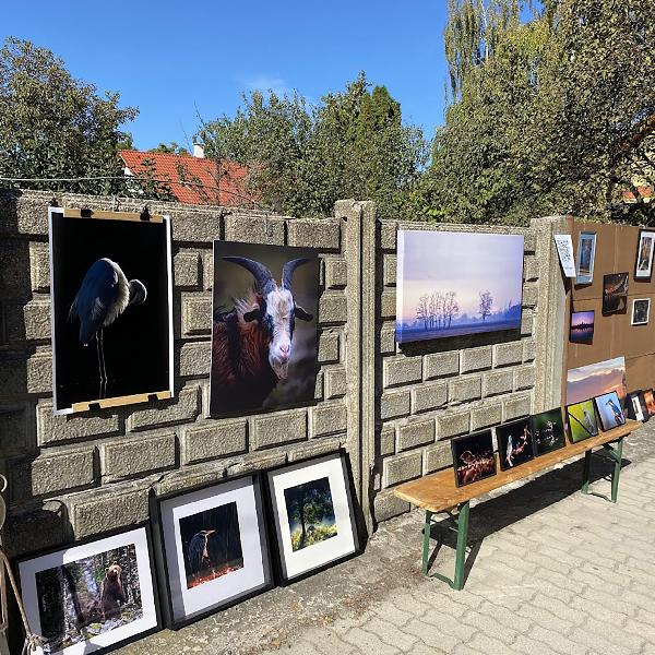 MűvészUtca 2025  - van „közünk” hozzá