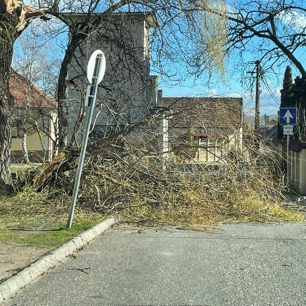 Pilisvörösváron is okozott károkat a vihar