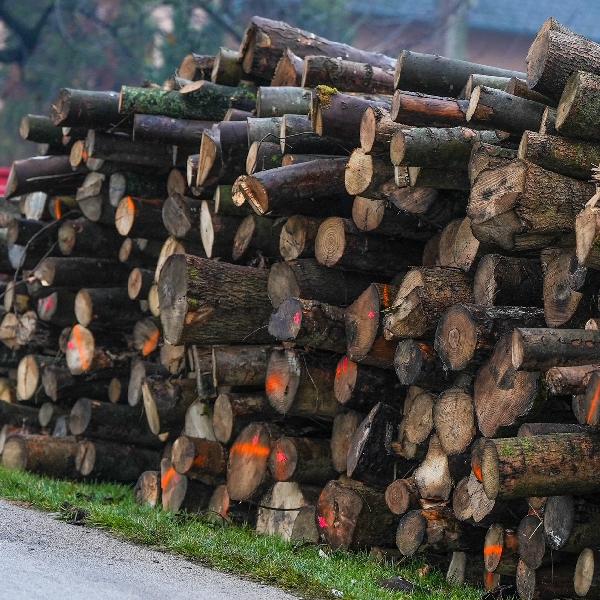 Szociális Tüzelőanyag-Program – Pilisvörösvár is benyújtotta igényléseit