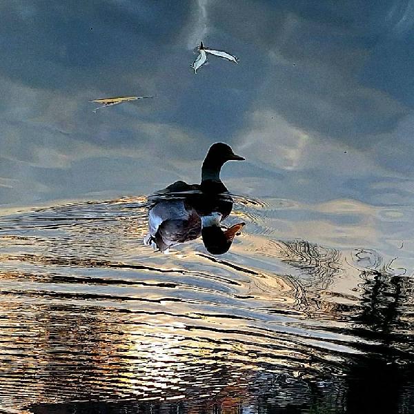 Ködös reggelek és felhős délutánok várnak ránk a héten 