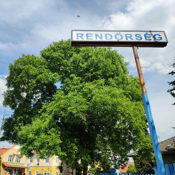 Rendőrök, polgárőrök járőröznek éjszakánként Pilisvörösváron