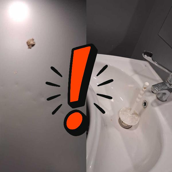 Rongálások a Nagy-tó partján lévő nyilvános illemhelynél