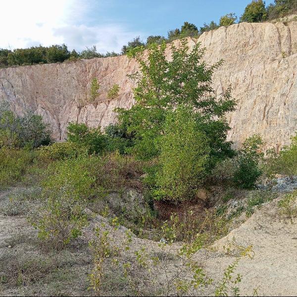 Nem kapott hatósági engedélyt a csobánkai bánya