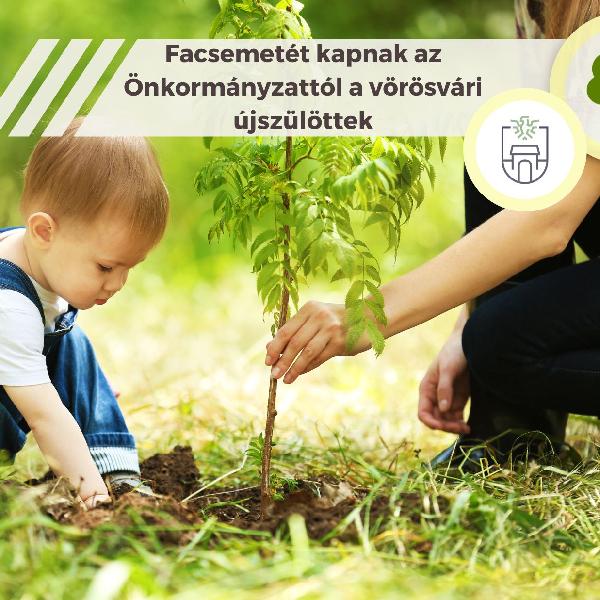 Facsemetét adományoz az Önkormányzat a vörösvári újszülötteknek