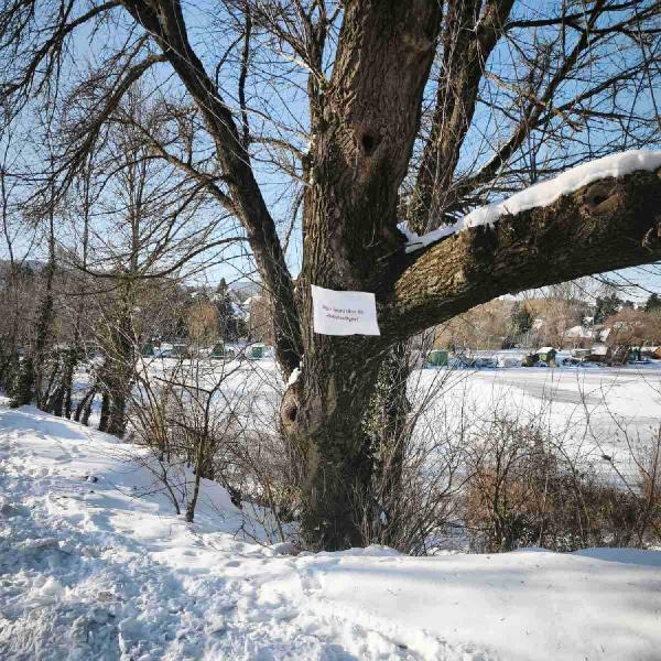 Tilos a jégre lépni és korcsolyázni a vörösvári tavakon
