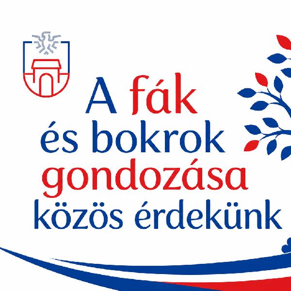 A fák és bokrok gondozása közös érdekünk