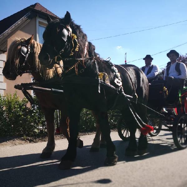 Meséljenek a fotók a szüreti felvonulásról - Galéria