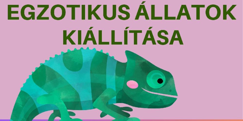 Tropical zoo – egzotikus állatok kiállítása